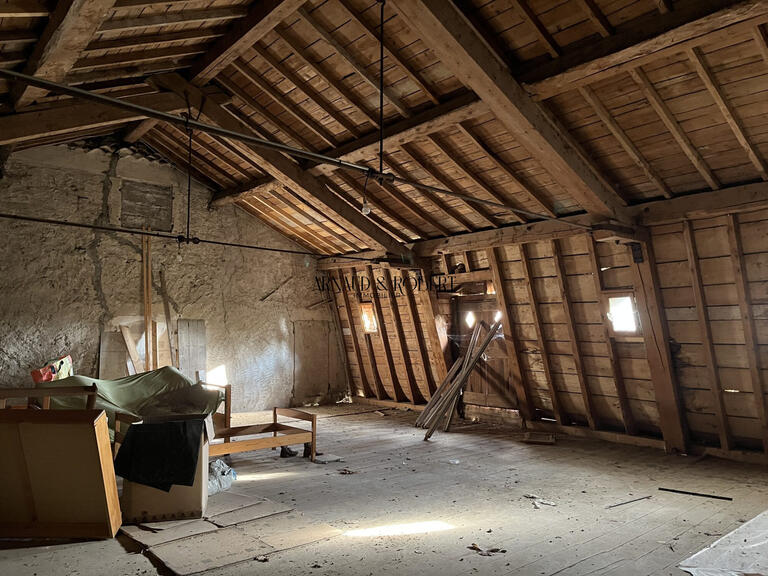 Maison Saint-Marcel-lès-Sauzet - 27 chambres - 800m²