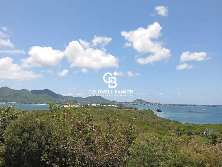 Propriété Saint-Martin - 4 chambres - 400m²