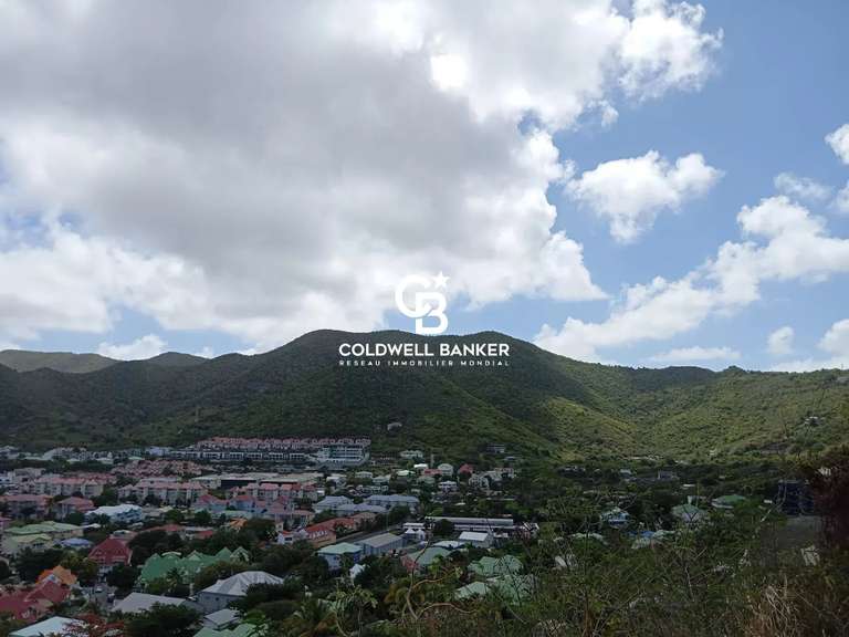 Terrain Saint-Martin - 1550m²