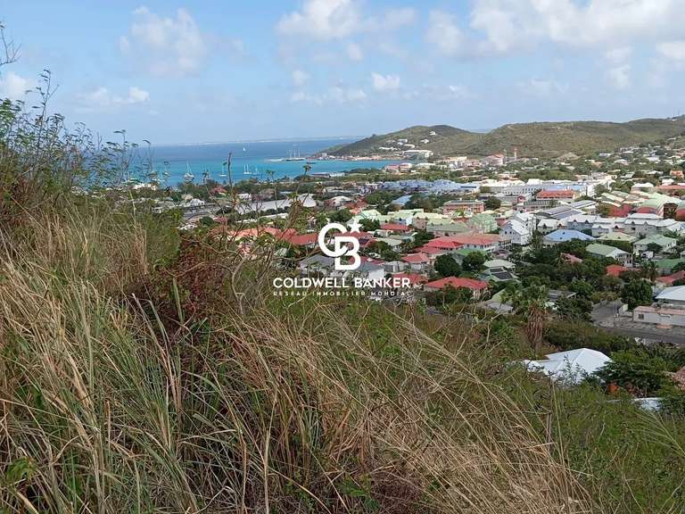 Terrain Saint-Martin - 1550m²