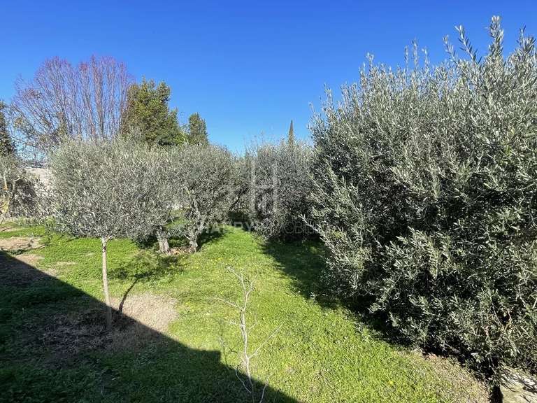 Maison Saint-Martin-de-Crau - 3 chambres - 238m²