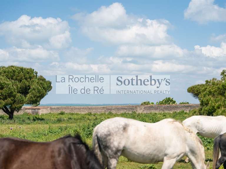 House with Sea view Saint-Martin-de-Ré - 6 bedrooms - 278m²