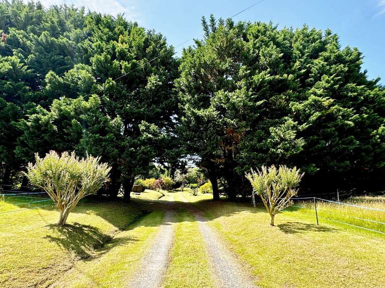 Propriété Saint-Martin-de-Seignanx - 4 chambres - 223m²