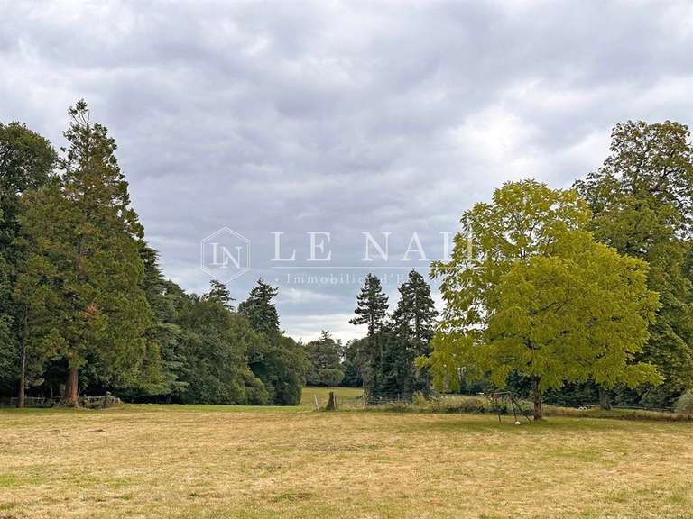 Castle Saint-Martin-sur-Oust - 21 bedrooms - 820m²