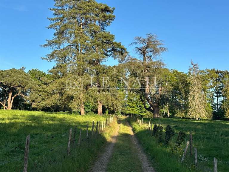 Château Saint-Martin-sur-Oust - 21 chambres - 820m²