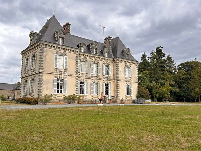 Castle Saint-Martin-sur-Oust - 21 bedrooms - 820m²