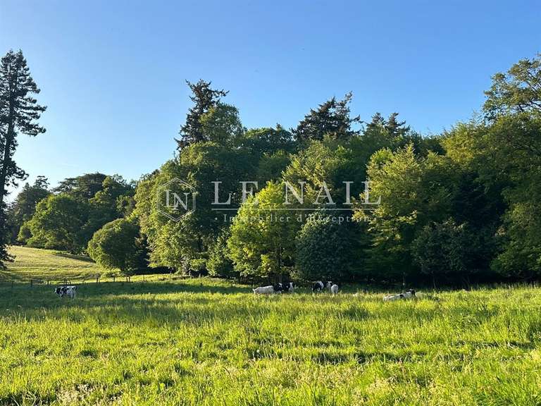 Château Saint-Martin-sur-Oust - 21 chambres - 820m²