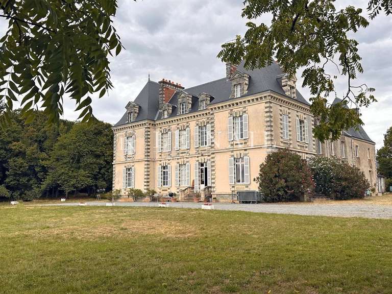 Castle Saint-Martin-sur-Oust - 21 bedrooms - 820m²