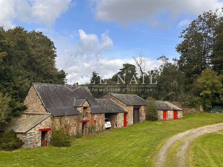 Manor Saint-Martin-sur-Oust - 4 bedrooms - 170m²