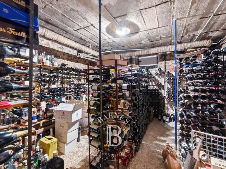 Maison Saint-Maur-des-Fossés - 7 chambres - 364m²