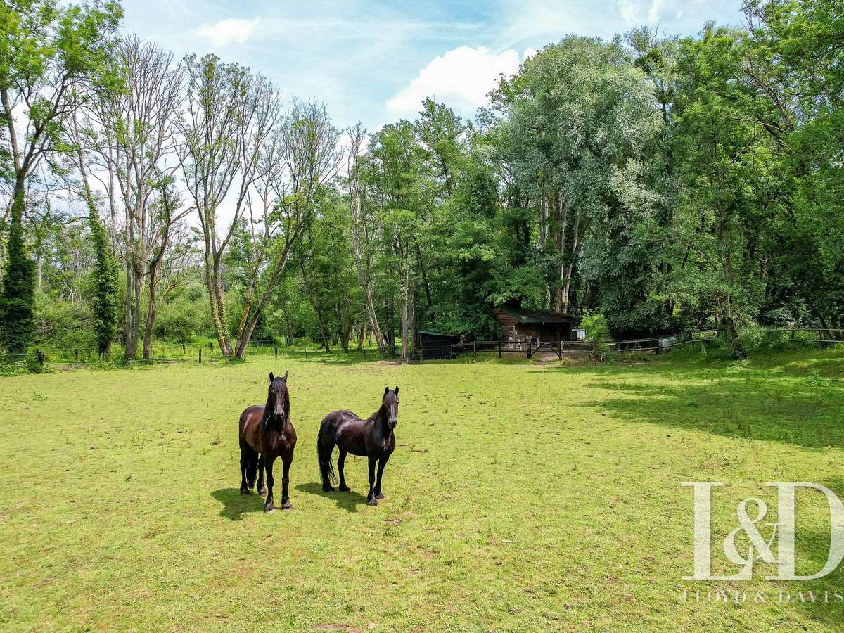 House Saint-Maurice-Montcouronne