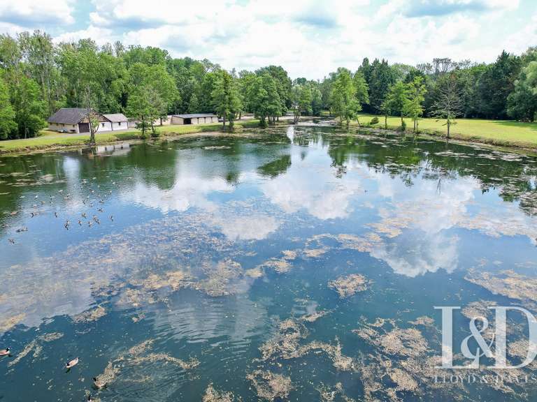 House Saint-Maurice-Montcouronne - 9 bedrooms - 310m²