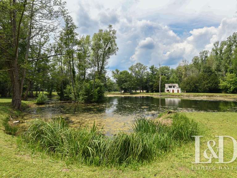 House Saint-Maurice-Montcouronne - 9 bedrooms - 310m²