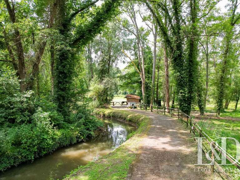 House Saint-Maurice-Montcouronne - 9 bedrooms - 310m²