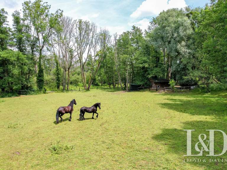 House Saint-Maurice-Montcouronne - 9 bedrooms - 310m²