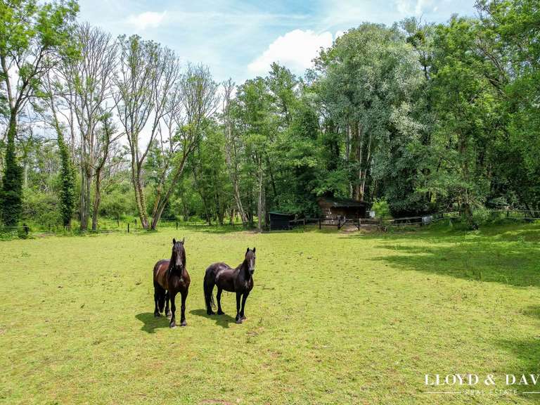 Maison Saint-Maurice-Montcouronne - 9 chambres - 310m²