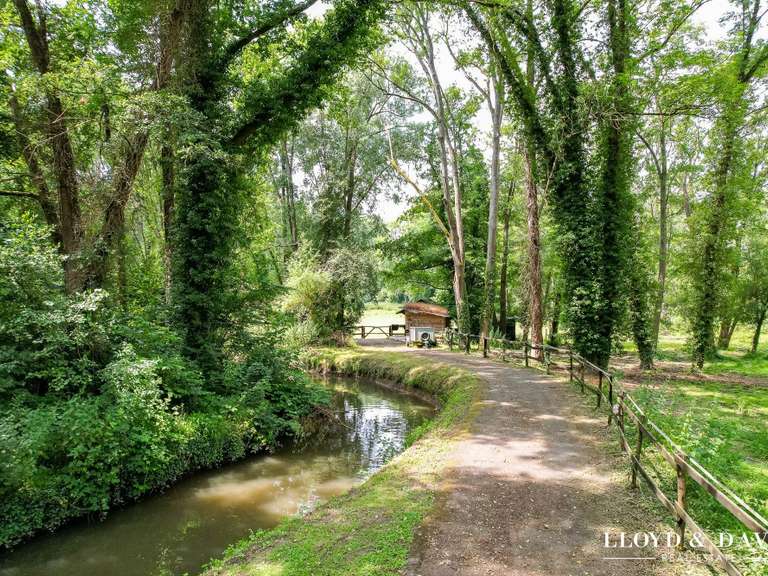 Maison Saint-Maurice-Montcouronne - 9 chambres - 310m²