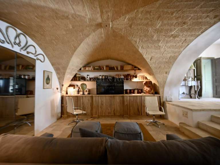 Maison Saint-Maximin - 5 chambres - 515m²