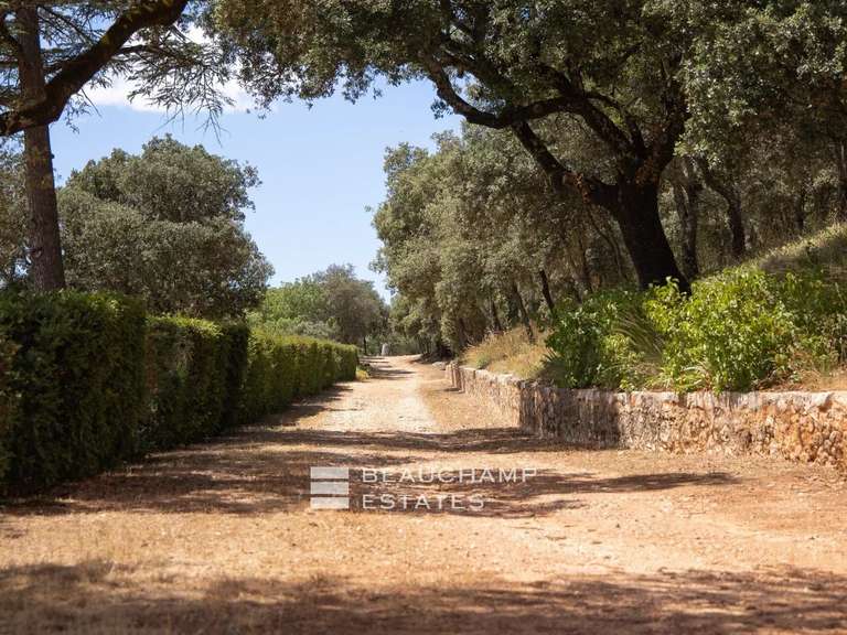 Villa Saint-Maximin-la-Sainte-Baume - 21 chambres - 1575m²