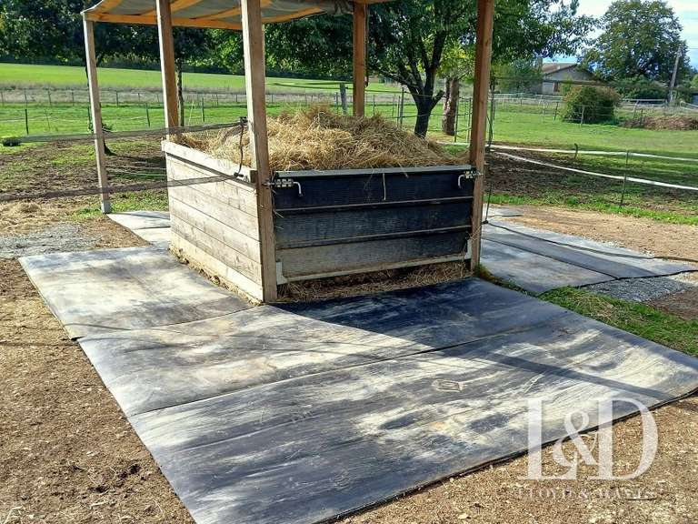 Maison Saint-Méard-de-Gurçon - 4 chambres - 206m²