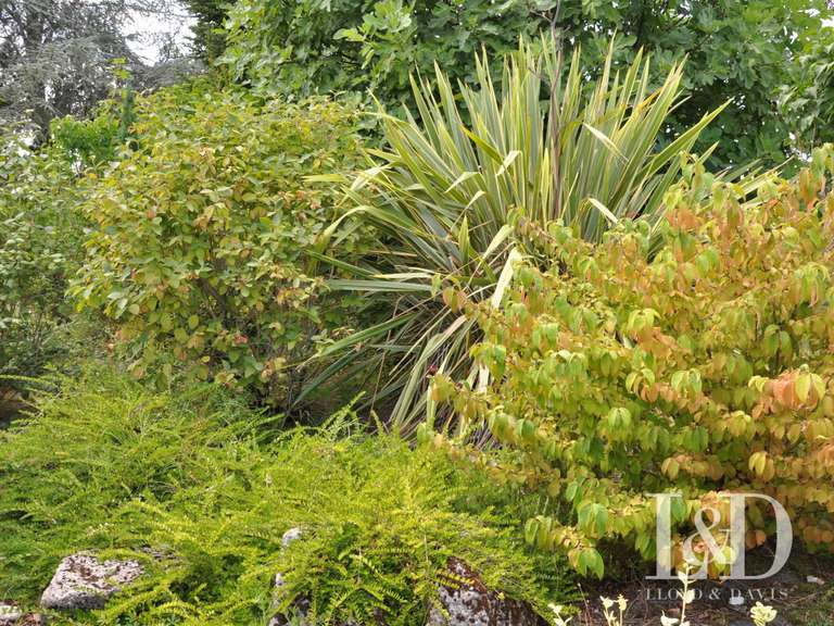 Maison Saint-Méard-de-Gurçon - 4 chambres - 206m²