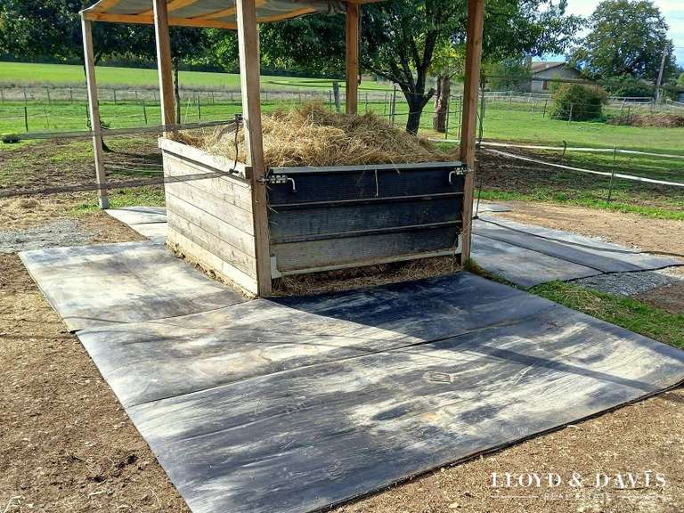 Maison Saint-Méard-de-Gurçon - 4 chambres - 206m²