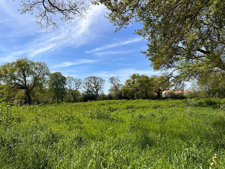 Manoir Saint-Michel-Chef-Chef - 4 chambres - 216m²