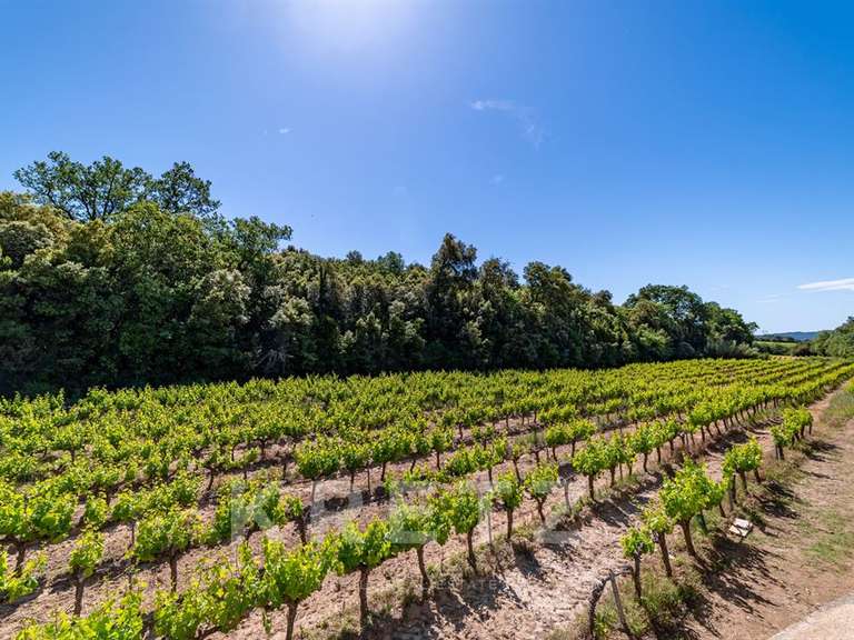 House Saint-Michel-d'Euzet - 8 bedrooms - 377m²
