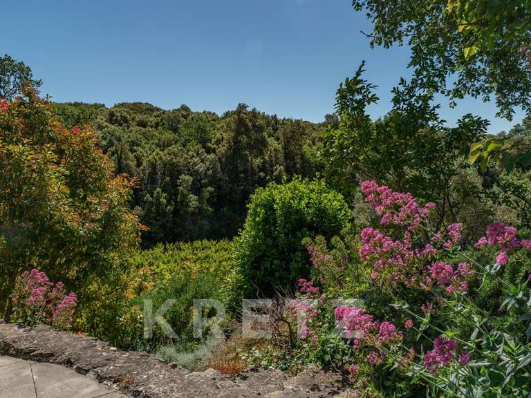 House Saint-Michel-d'Euzet - 8 bedrooms - 377m²