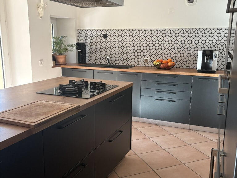 Maison Saint-Michel-de-Lanès - 3 chambres - 385m²