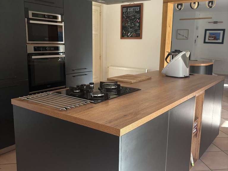 Maison Saint-Michel-de-Lanès - 3 chambres - 385m²