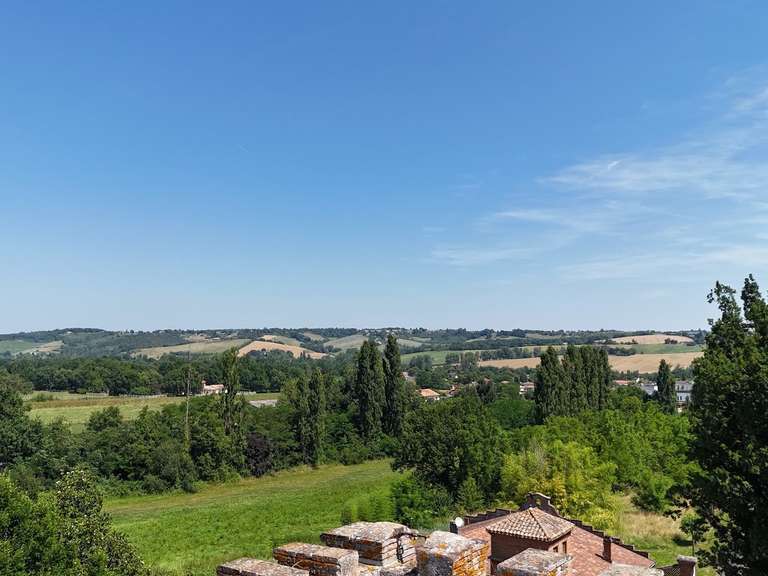 Château Saint-Nauphary - 6 chambres - 840m²