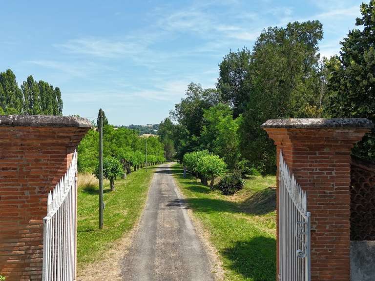 Château Saint-Nauphary - 8 chambres - 840m²