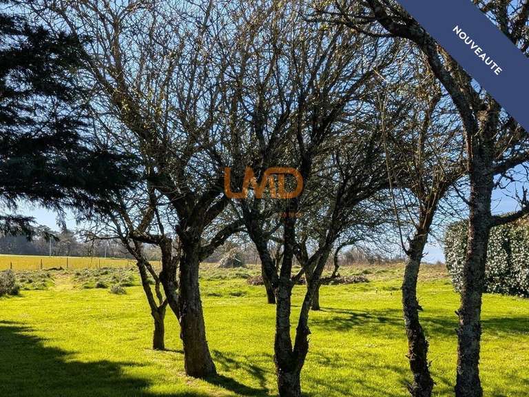 Maison Saint-Nic - 4 chambres - 274m²