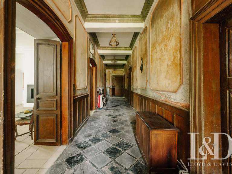 Castle Saint-Palais - 800m²