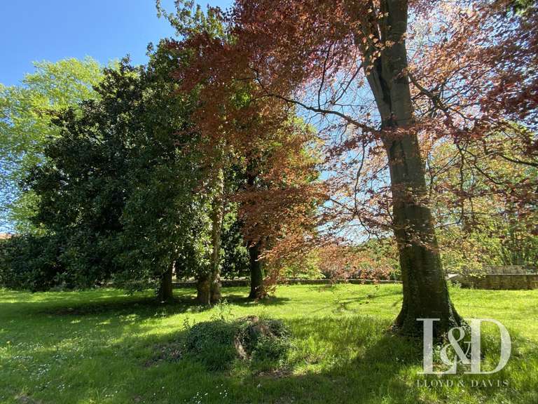 Castle Saint-Palais - 800m²