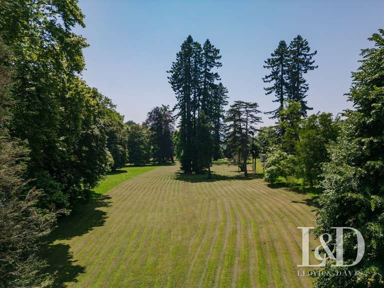 Castle Saint-Palais - 800m²