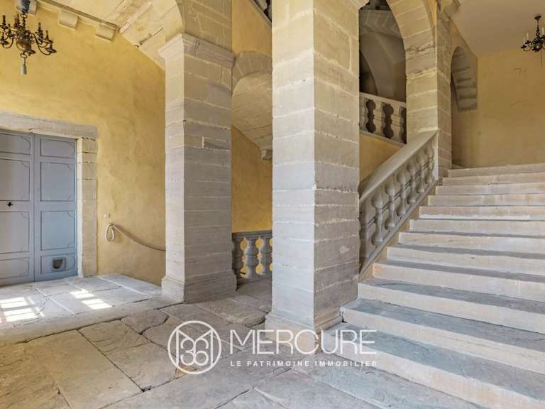 Château Saint-Papoul - 5 chambres - 550m²