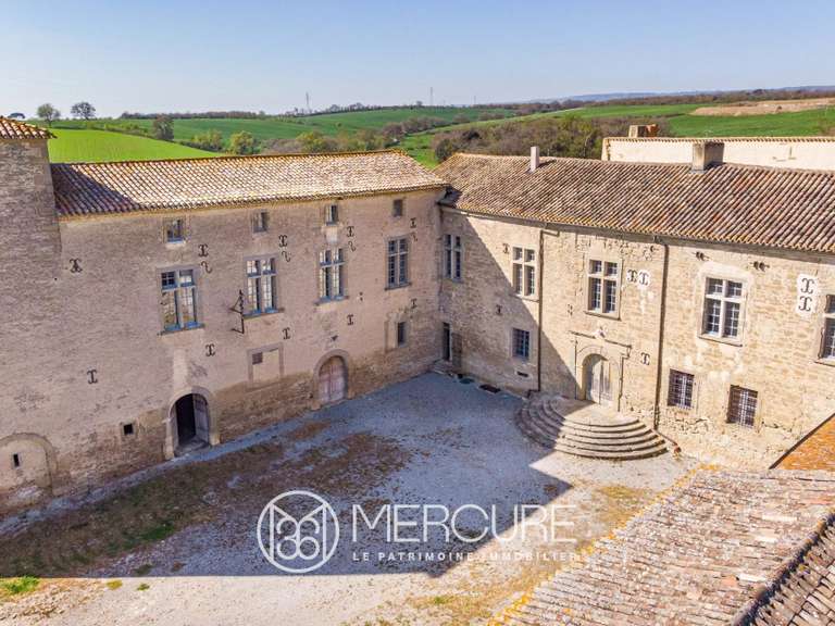 Château Saint-Papoul - 5 chambres - 550m²