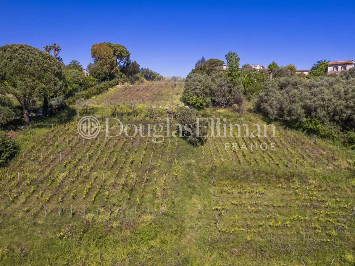 Domaine viticole Saint-Paul