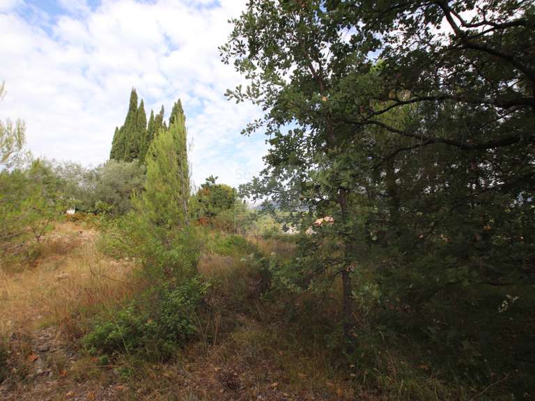 Terrain Saint-Paul - 1318m²