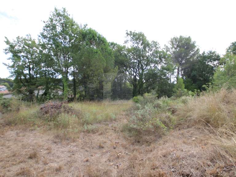 Terrain Saint-Paul - 1318m²