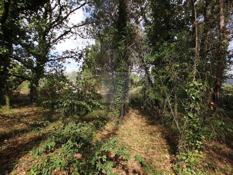 Terrain Saint-Paul - 1318m²