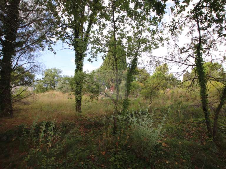 Terrain Saint-Paul - 1318m²