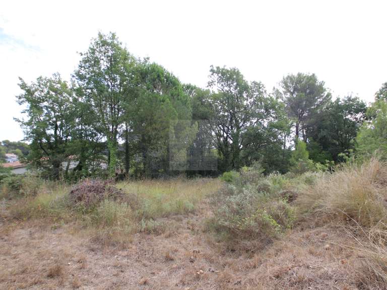 Terrain Saint-Paul - 1318m²