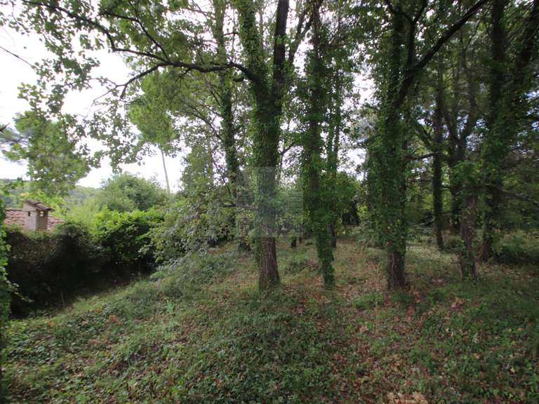 Terrain Saint-Paul - 1318m²