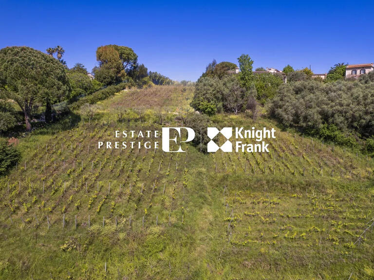 Villa Saint-Paul - 7 chambres - 454m²