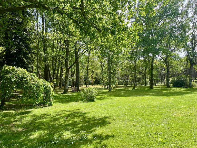 Maison Saint-Paul-lès-Dax - 6 chambres - 350m²