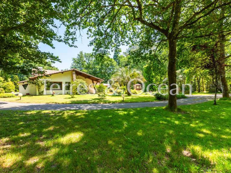Maison Saint-Paul-lès-Dax - 6 chambres - 350m²