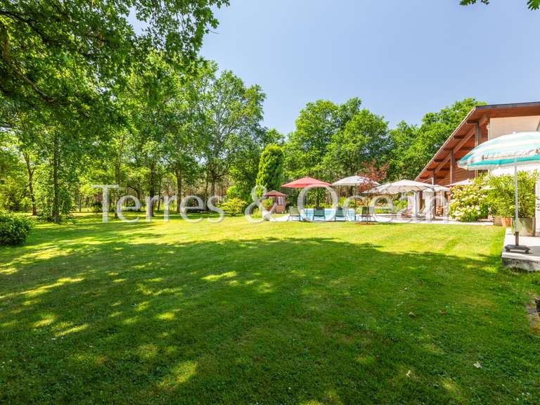Maison Saint-Paul-lès-Dax - 6 chambres - 350m²